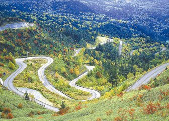  【图解】两会议农事：“农村公路+”打通乡村振兴脉络