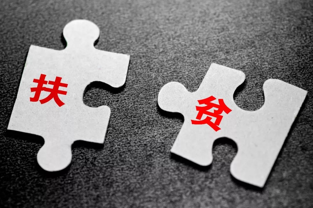 張維國:不折不扣完成脫貧攻堅巡視整改任務