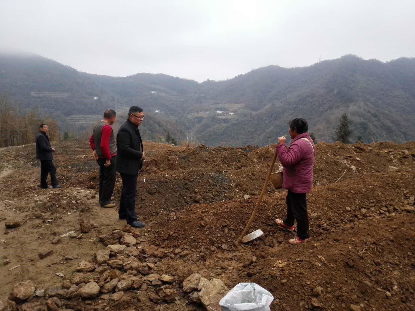 文峰乡人大代表主动督办茶园建设