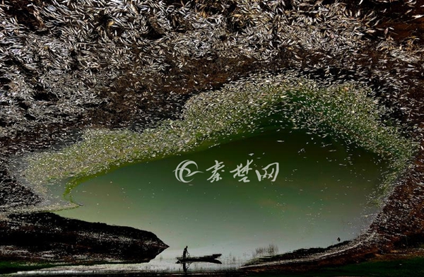 途经5省拍摄 十堰籍80后摄影师作品获全球年度新闻图片奖