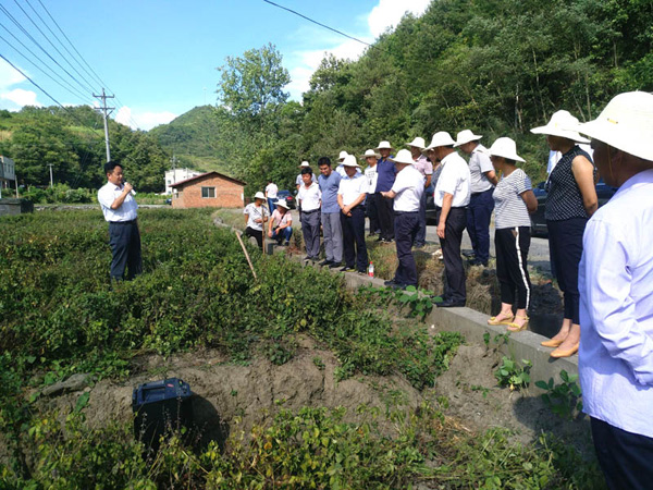 麻家渡镇：咬定重点不放松刚性任务齐进攻