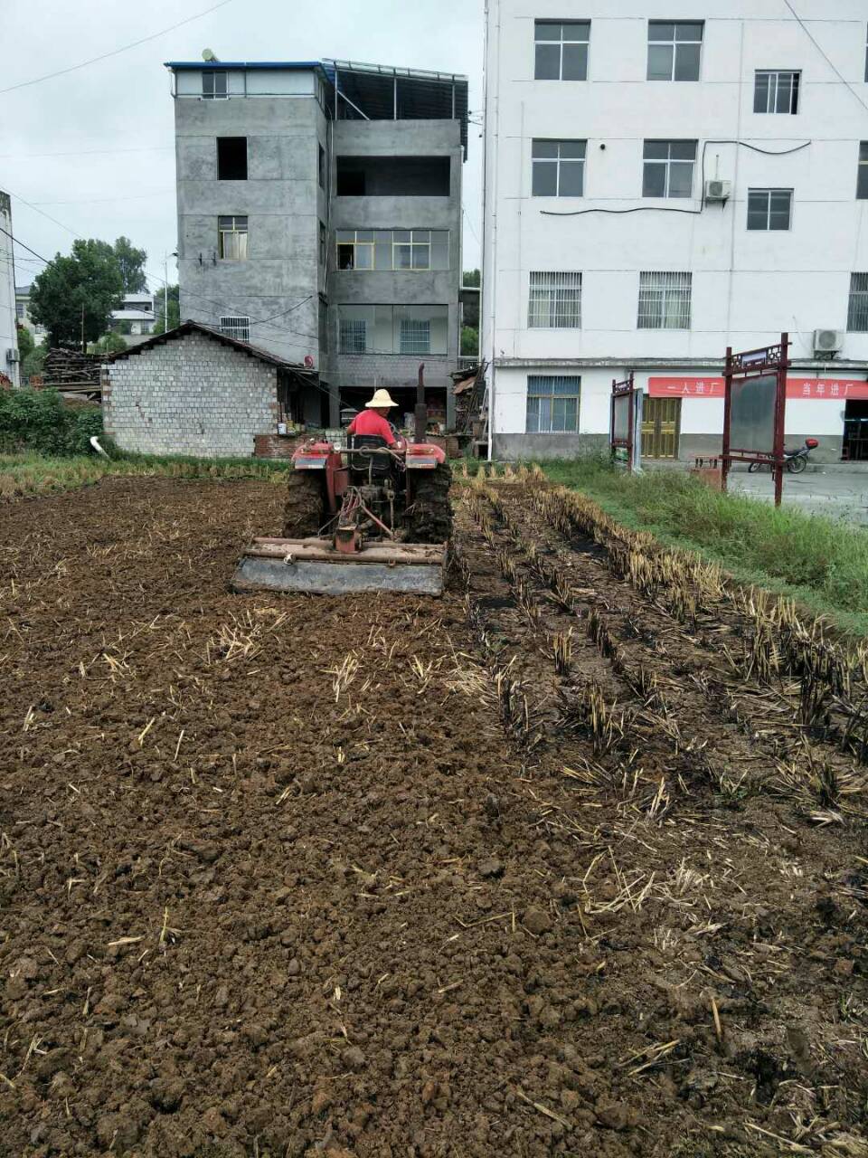 麻家渡镇：农机齐下地助力秋耕种