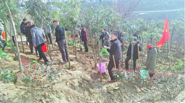 上庸国土分局参加植树节活动