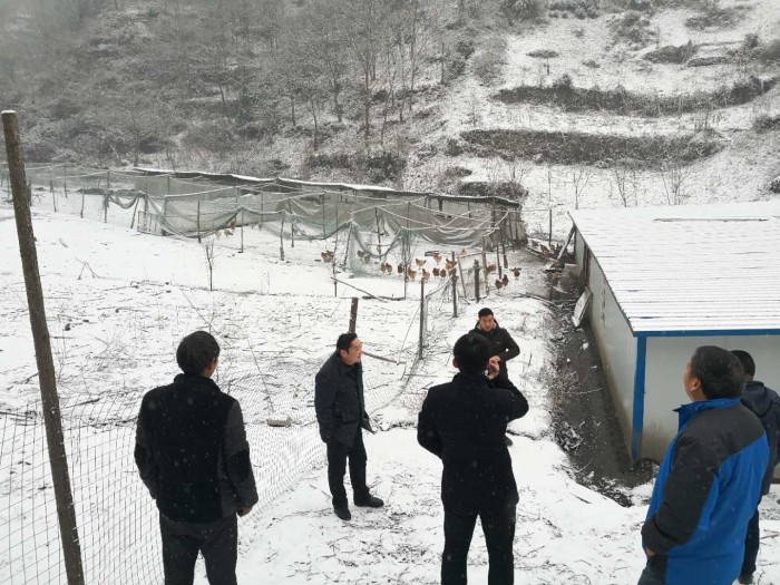 竹坪乡：干部踏雪走访忙  百姓感恩诉真情