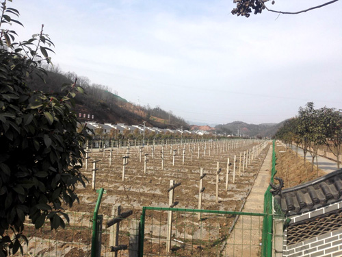 溢水镇：第十届人民代表大会第五次会议顺利召开