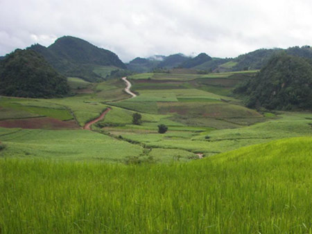 上庸国土分局开展补充耕地项目实地核查工作