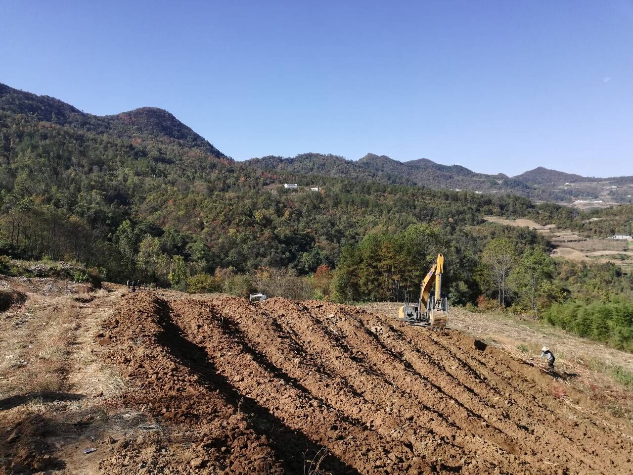 文峰乡：种下致富叶 铺就致富路