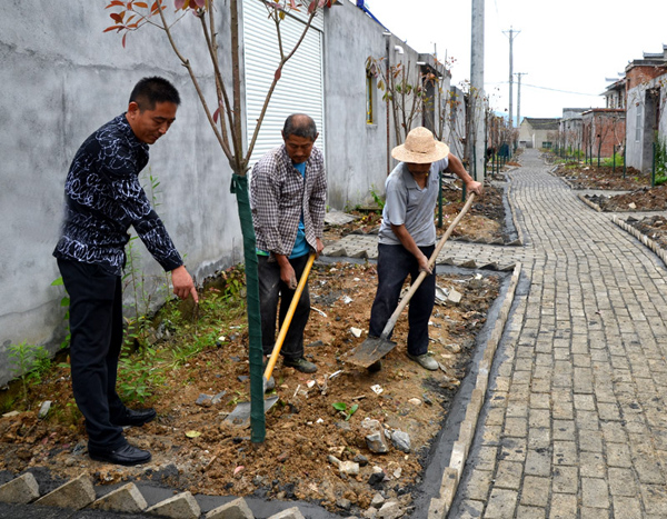 麻家渡镇：栽种绿化苗木扮靓扶贫安置点