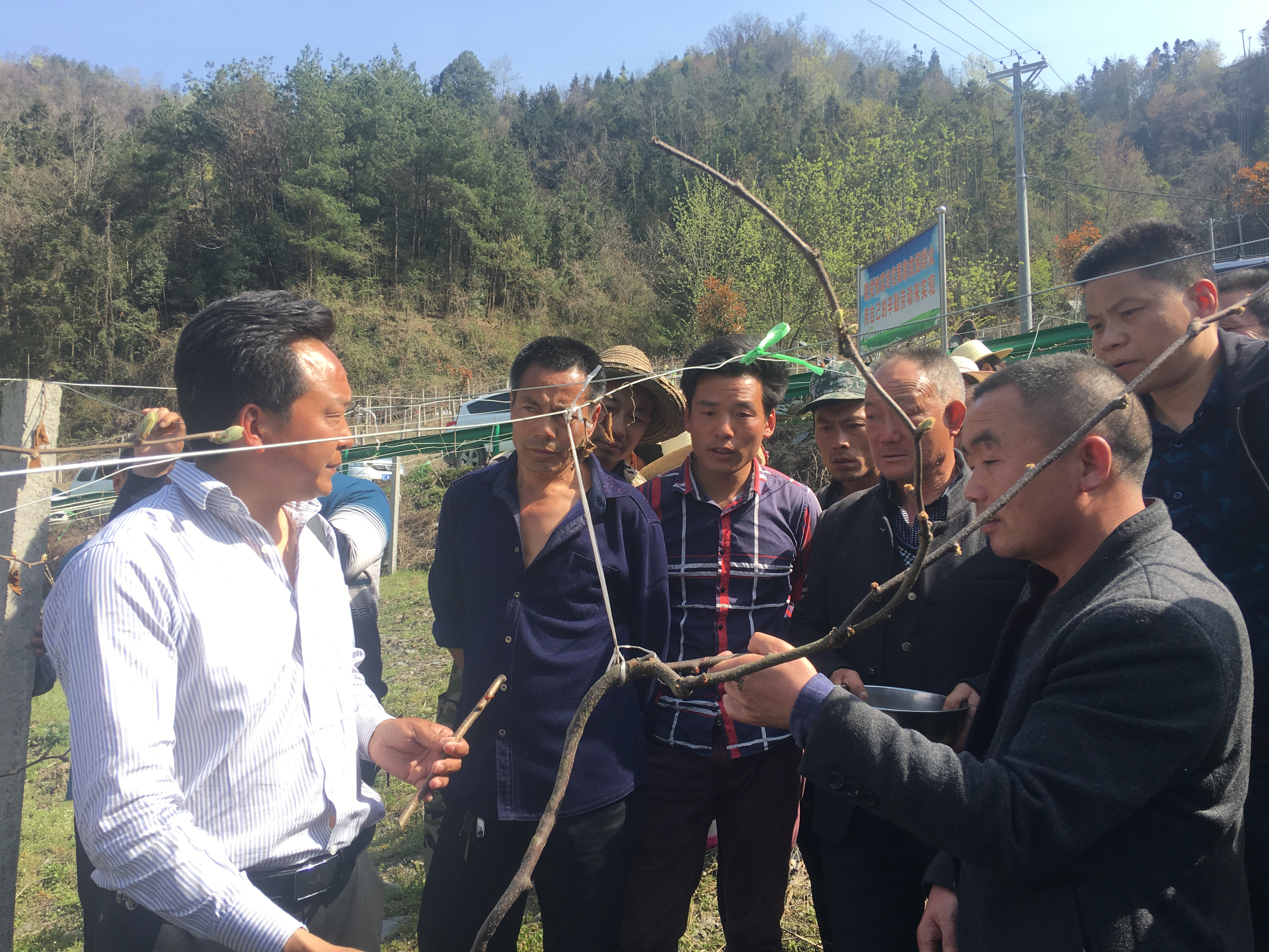 官渡镇：真帮真扶出真招  实干实做促脱贫