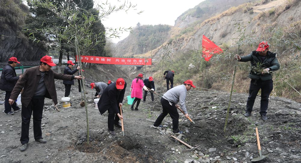 潘口乡：植绿护绿美化家园