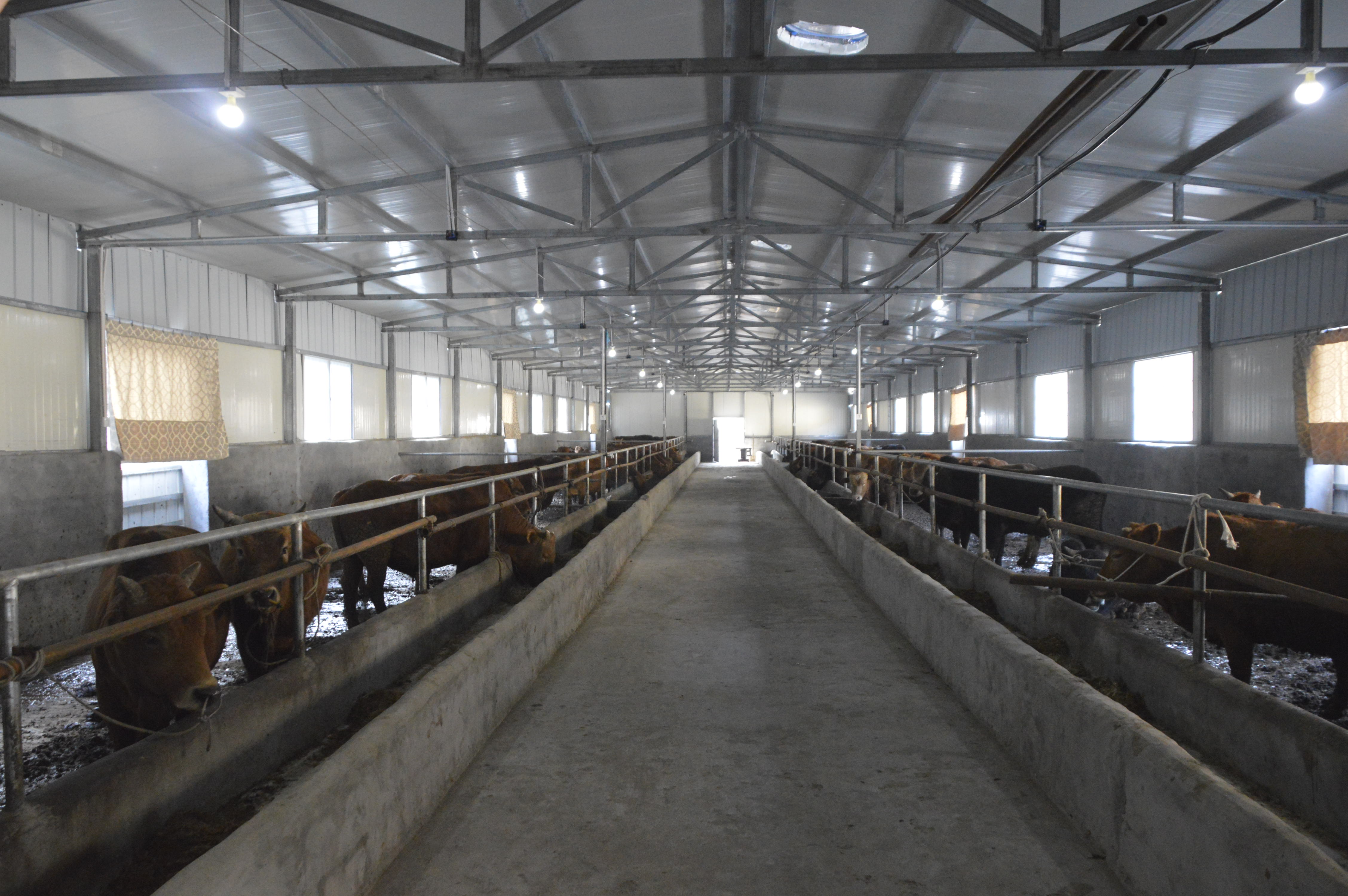 大庙乡：全力攻坚春季防疫