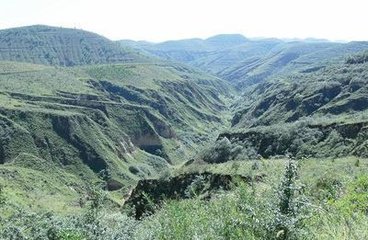 麻家渡镇：“植”入绿色“树”立希望