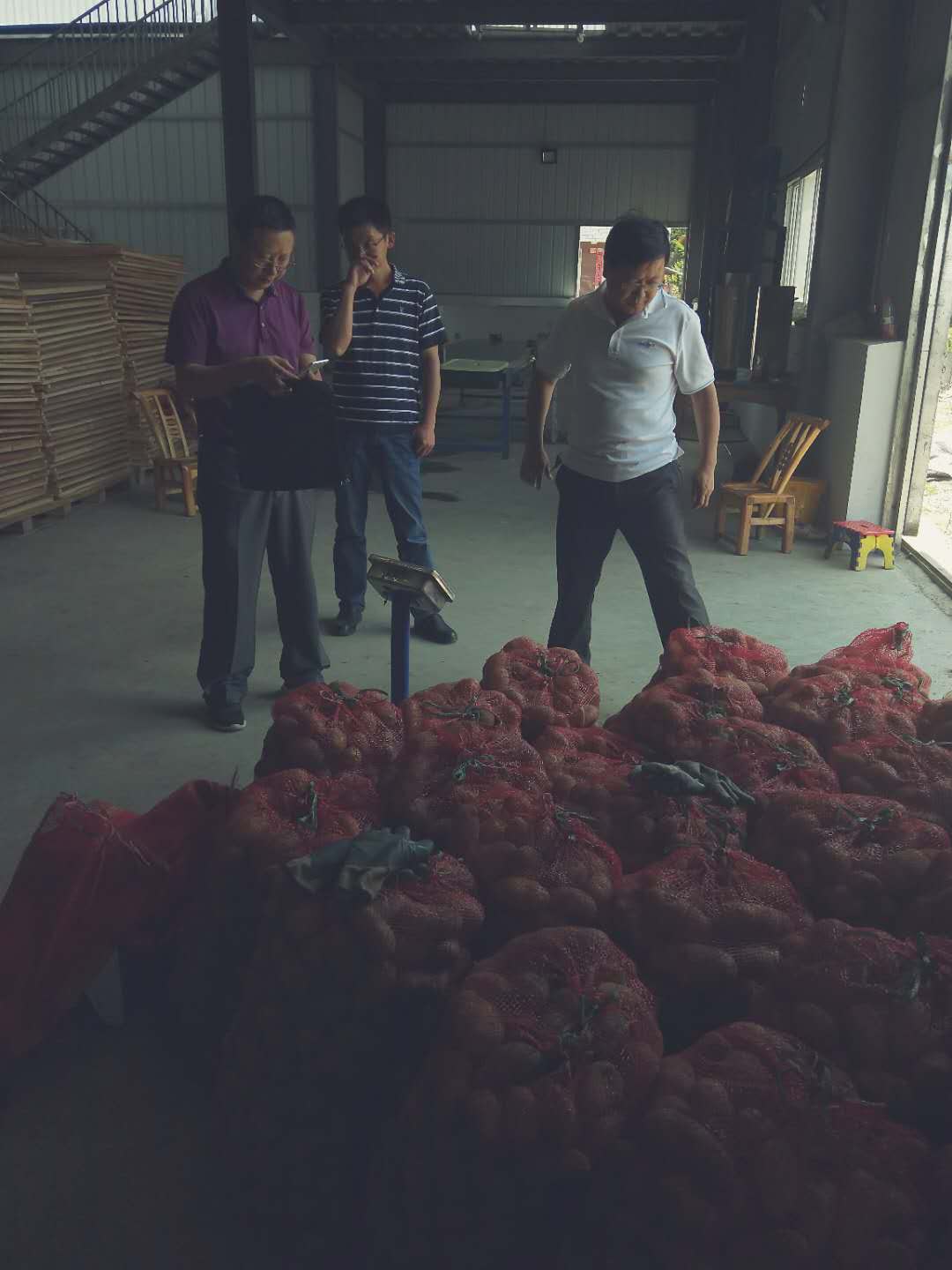 大庙乡：洋芋喜获丰收