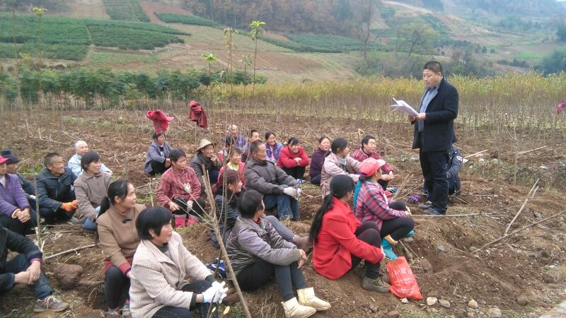 擂鼓镇万名“留守妇女”撑起“半边天”