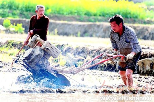 [湖北日报]竹山农民犁耙水响农事忙(图文)