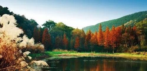 事关十堰！湖北建404个省级生态示范县、村，还有这些大动作