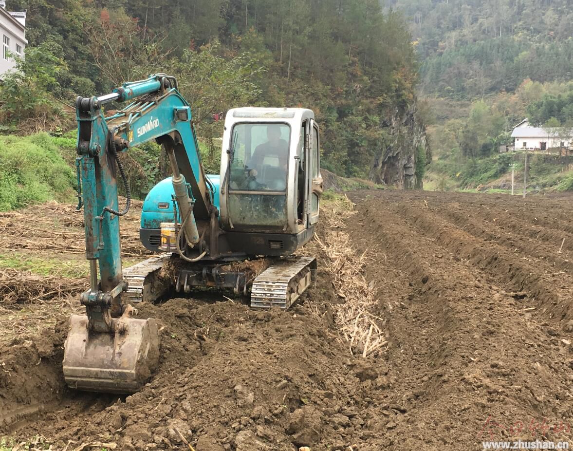 大庙乡：茶叶基地建设如火如荼