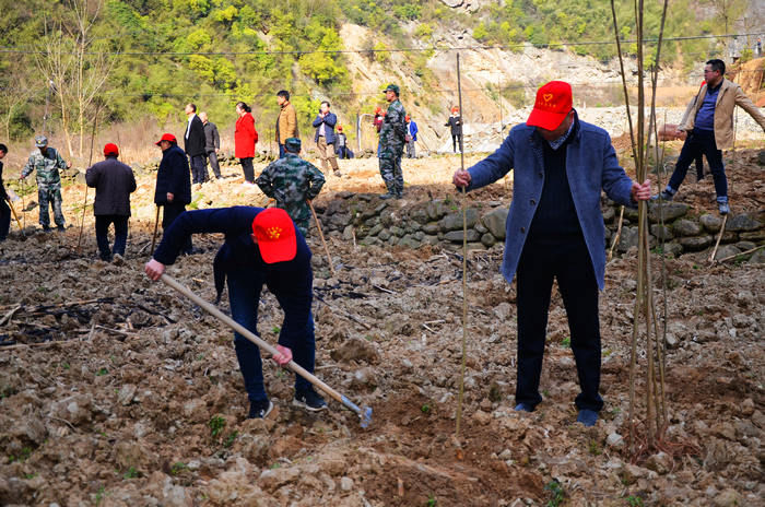 双台乡干群开展义务植树活动