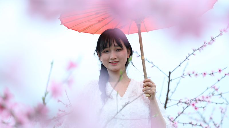 在那桃花盛开的地方——宝丰镇公平村首届桃花节活动掠影