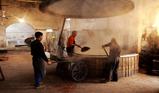 楼台食药监所指导白酒小作坊 服务扶贫大工程