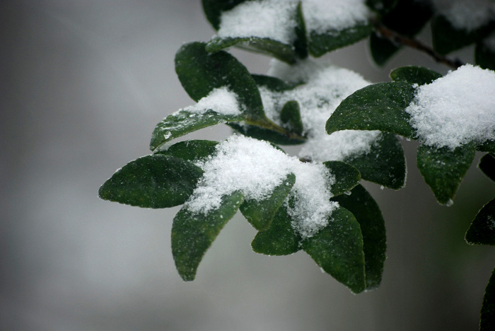 明起新一轮雨雪将造访十堰 平均气温降至0℃