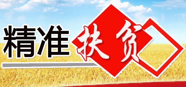 竹山部署精準(zhǔn)扶貧成效考核迎檢工作