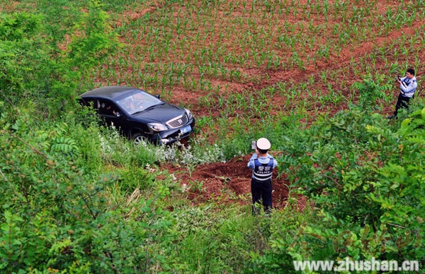 轿车溜到庄稼地 幸无人员伤亡 (图)