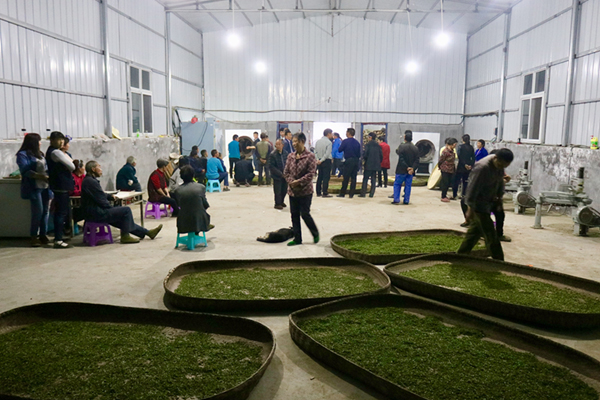 溢水镇：扶贫车间茶香飘