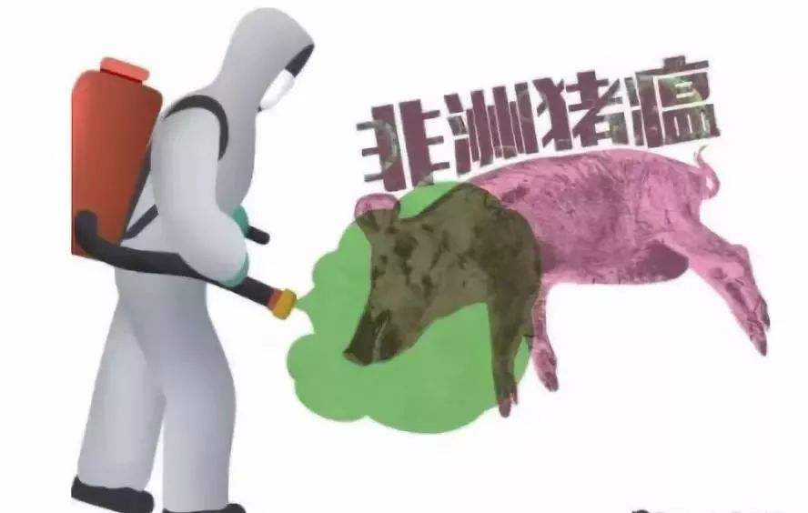 溢水镇：多措并举严防非洲猪瘟