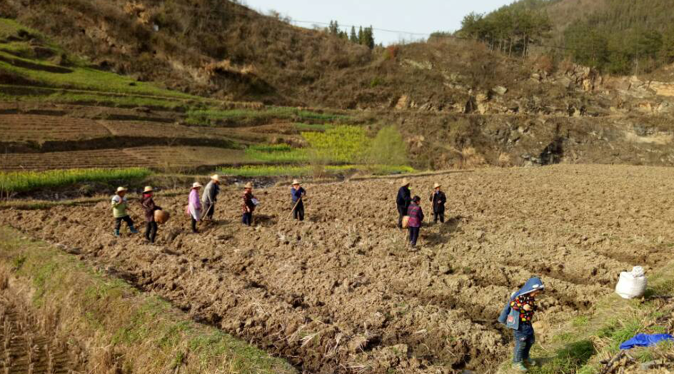 大庙乡扎实做好春季林业工作