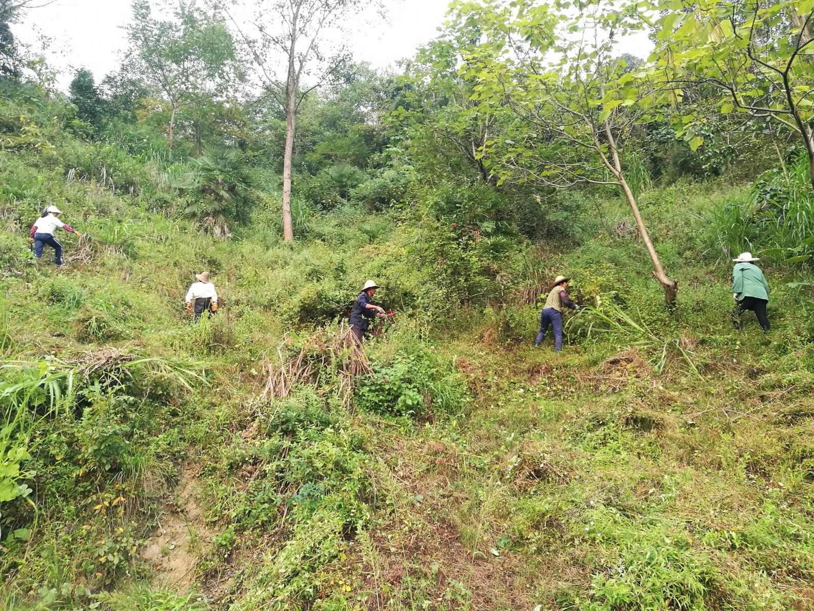 文峰乡全面开展精准灭荒自查整改