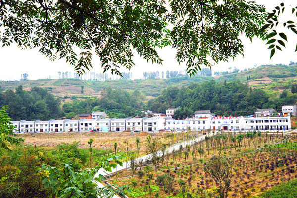 麻家渡镇：从“早”出发 聚力保障冬季取暖安全