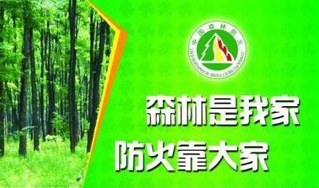 柳林乡：森林防火抓宣传重惩戒