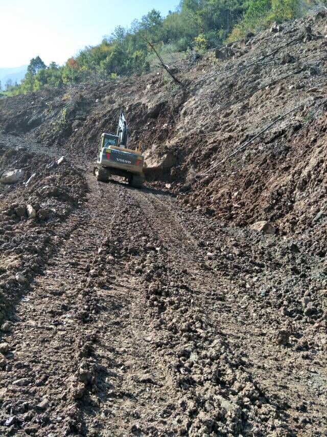 柳林乡：干群齐心抗灾渡难关