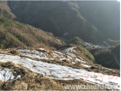 大庙乡：“穷山沟”里的产业“金凤凰”