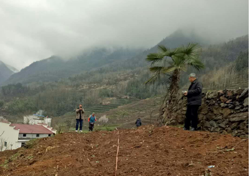 得胜镇：易迁户喜领菜园地