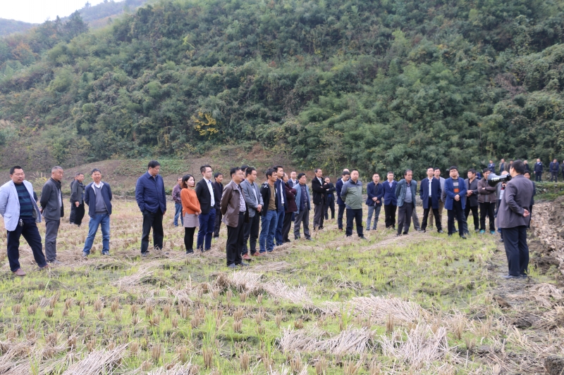 竹坪乡多举措整治扶贫领域突出问题