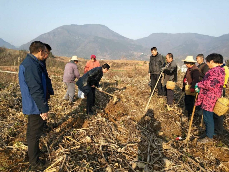 秦古镇：技能培训助脱贫
