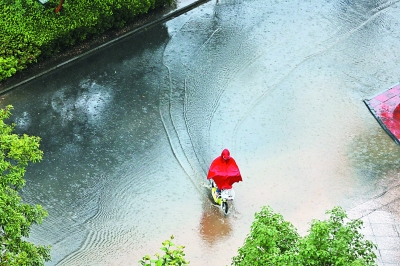 十堰迎今年來最強降雨 造成3.5萬畝農(nóng)作物受災