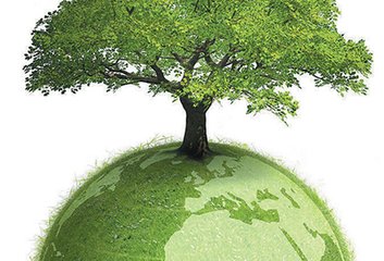 用制度保障生态文明建设