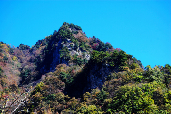 竹山歷史大案“滄浪山暴動”