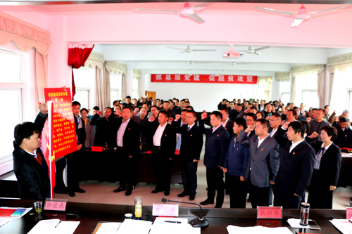 麻家渡镇：强力推进基层党建“整乡提升”工作