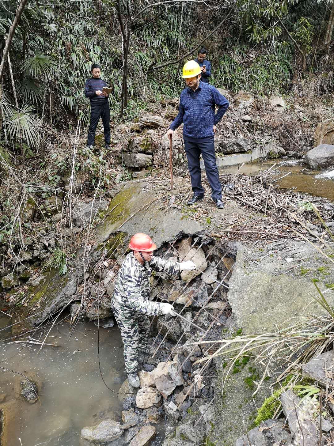柳林乡：念好“生态经” 推动高质量发展