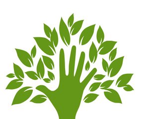 双台乡：义务植树8万多棵