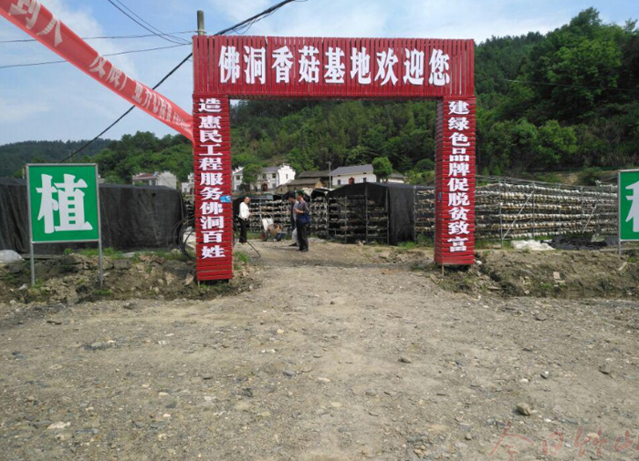 竹坪乡：开展“空壳社”专项清查工作