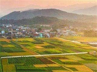 做好乡村振兴这篇大文章(我和总书记面对面)