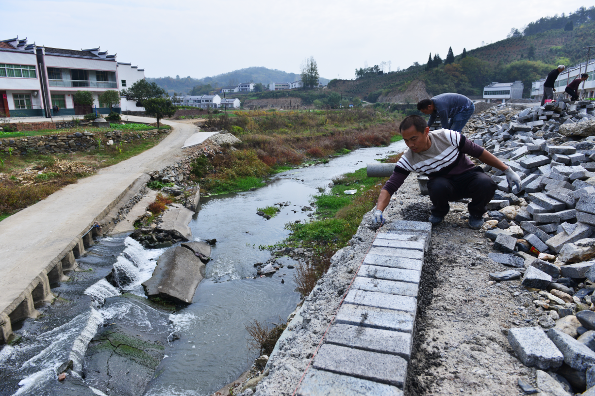 建设村路景观带