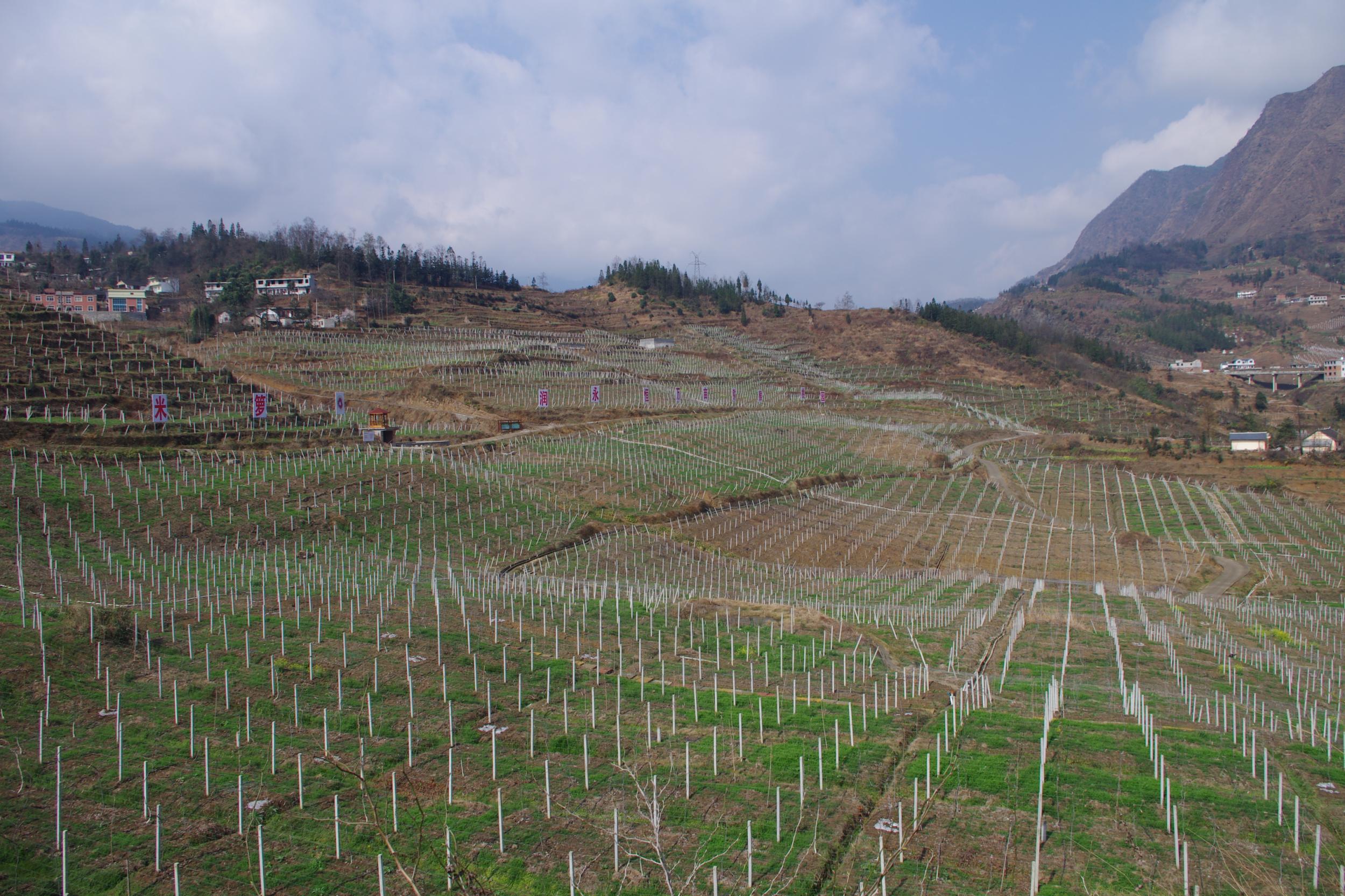 文峰乡：全力以赴促脱贫