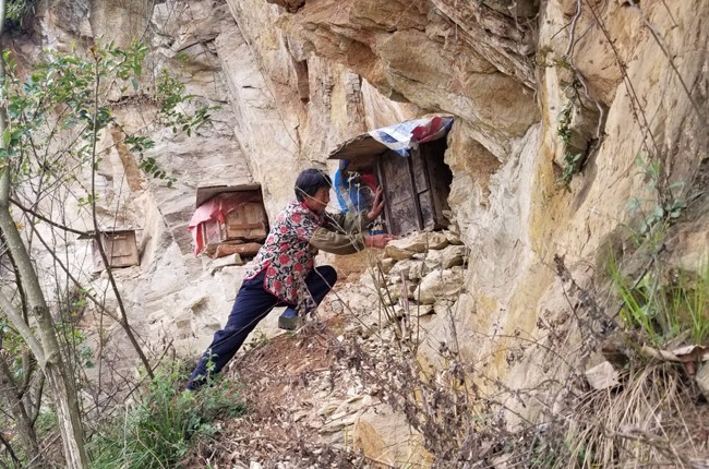 城关镇桥儿村民养殖野蜜蜂脱贫致富