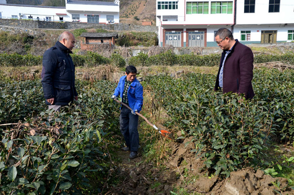 麻家渡镇:打造万亩“舌尖上的绿色银行”